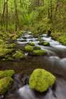 USA, Oregon, Columbia River Gorge. Gorton Creek rapids. Art Print